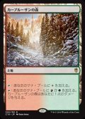 カープルーザンの森/Karplusan Forest《日本語》【Commander 2016】