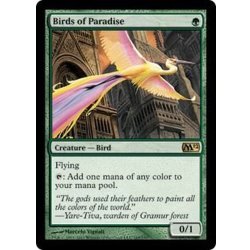 画像1: [POOR]極楽鳥/Birds of Paradise《英語》【M12】