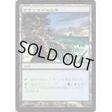 [EX+]ヤヴィマヤの沿岸/Yavimaya Coast《日本語》【10E】