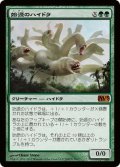 [EX+]始源のハイドラ/Primordial Hydra《日本語》【Media Promos(M13)】