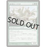 [HPLD]始源のハイドラ/Primordial Hydra《日本語》【Media Promos(M13)】