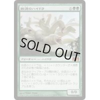 [HPLD]始源のハイドラ/Primordial Hydra《日本語》【Media Promos(M13)】