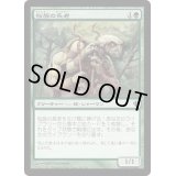 [EX+]桜族の長老/Sakura-Tribe Elder《日本語》【Commander 2013】