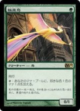 [EX]極楽鳥/Birds of Paradise《日本語》【M10】