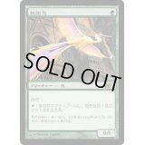 [PLD]極楽鳥/Birds of Paradise《日本語》【M10】