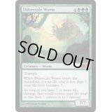 古鱗のワーム/Elderscale Wurm《英語》【M13】