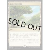 [EX+]風変わりな果樹園/Exotic Orchard《日本語》【CN2】