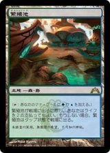 [EX]繁殖池/Breeding Pool《日本語》【GTC】