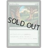[EX+]自然に帰れ/Back to Nature《日本語》【M11】