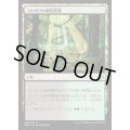 [EX+]ゴルガリの腐敗農場/Golgari Rot Farm《日本語》【MM2】