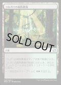 [EX+]ゴルガリの腐敗農場/Golgari Rot Farm《日本語》【MM2】