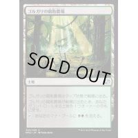[EX+]ゴルガリの腐敗農場/Golgari Rot Farm《日本語》【MM2】