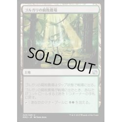 画像1: ゴルガリの腐敗農場/Golgari Rot Farm《日本語》【MM2】