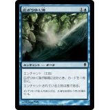 [EX+]広がりゆく海/Spreading Seas《日本語》【ZEN】