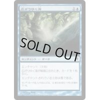 [PLD]広がりゆく海/Spreading Seas《日本語》【ZEN】