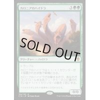 カロニアのハイドラ/Kalonian Hydra《日本語》【Commander 2016】