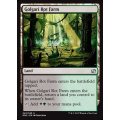 ゴルガリの腐敗農場/Golgari Rot Farm《英語》【MM2】