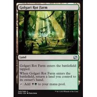 [EX+]ゴルガリの腐敗農場/Golgari Rot Farm《英語》【MM2】