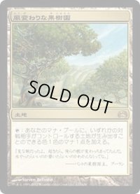 [EX+]風変わりな果樹園/Exotic Orchard《日本語》【Planechase 2012】