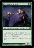 [PLD]花を手入れする者/Bloom Tender《日本語》【EVE】