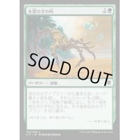 木霊の手の内/Kodama's Reach《日本語》【Commander 2017】