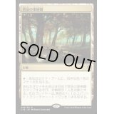 禁忌の果樹園/Forbidden Orchard《日本語》【Commander 2016】
