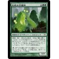 [EX]大蛇の守護神/Patron of the Orochi《日本語》【BOK】