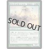 空を引き裂くもの、閼螺示/Arashi, the Sky Asunder《日本語》【SOK】