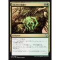 [EX+]ゴルガリの魔除け/Golgari Charm《日本語》【Commander 2015】