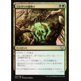 [EX+]ゴルガリの魔除け/Golgari Charm《日本語》【Commander 2015】