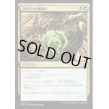 ゴルガリの魔除け/Golgari Charm《日本語》【Commander 2015】