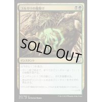 ゴルガリの魔除け/Golgari Charm《日本語》【Commander 2015】