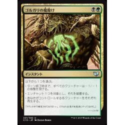 画像1: [EX+]ゴルガリの魔除け/Golgari Charm《日本語》【Commander 2015】