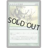 そう介の召喚術/Sosuke's Summons《日本語》【BOK】