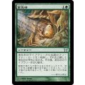 [EX]緊急時/Time of Need《日本語》【CHK】