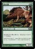 [EX+]斑の猪/Brindle Boar《日本語》【M11】