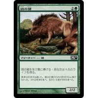 [EX+]斑の猪/Brindle Boar《日本語》【M11】