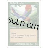 [EX+]極楽鳥/Birds of Paradise《英語》【7ED】