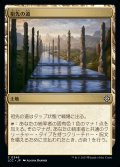 祖先の道/Path of Ancestry《日本語》【LCC】