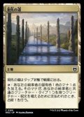 祖先の道/Path of Ancestry《日本語》【WOC】
