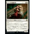 [EX+]エレンダの秘儀司祭/Elenda's Hierophant《日本語》【LCC】
