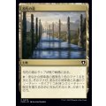 [EX+]祖先の道/Path of Ancestry《日本語》【CMM】