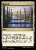 [EX+]祖先の道/Path of Ancestry《日本語》【MKC】