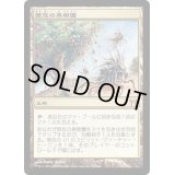 [PLD]禁忌の果樹園/Forbidden Orchard《日本語》【CHK】