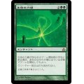 [HPLD]生命の力線/Leyline of Lifeforce《日本語》【GPT】