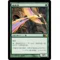[HPLD]極楽鳥/Birds of Paradise《日本語》【M11】