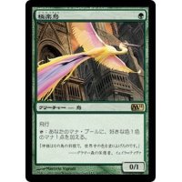 [HPLD]極楽鳥/Birds of Paradise《日本語》【M11】