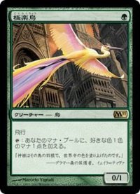 [HPLD]極楽鳥/Birds of Paradise《日本語》【M11】