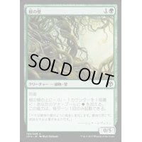 [EX+]根の壁/Wall of Roots《日本語》【IMA】