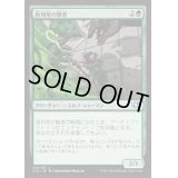 [EX+]再利用の賢者/Reclamation Sage《日本語》【Commander 2014】